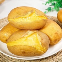 甘肃定西沙面粉糯新鲜土豆5/9斤农家自种蔬菜土豆马铃薯黄心沙面 黄皮黄心 9斤大土豆(带箱)
