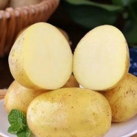 宁夏西吉粗红皮土豆现挖新鲜黄心土豆10斤当季蔬菜整箱马铃薯洋芋 5斤大果（单个重约6-8两）